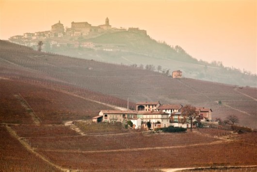 Borgata Cerequio