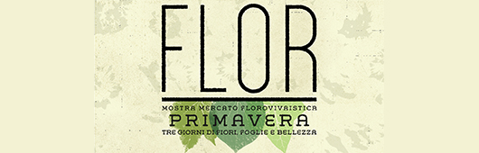 toolbar-flor-primavera-2018